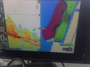 琵琶湖木の浜のウィードのブレイクラインを示す魚探画像