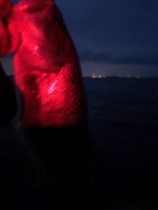 南湖アノストで釣った40UP画像2
