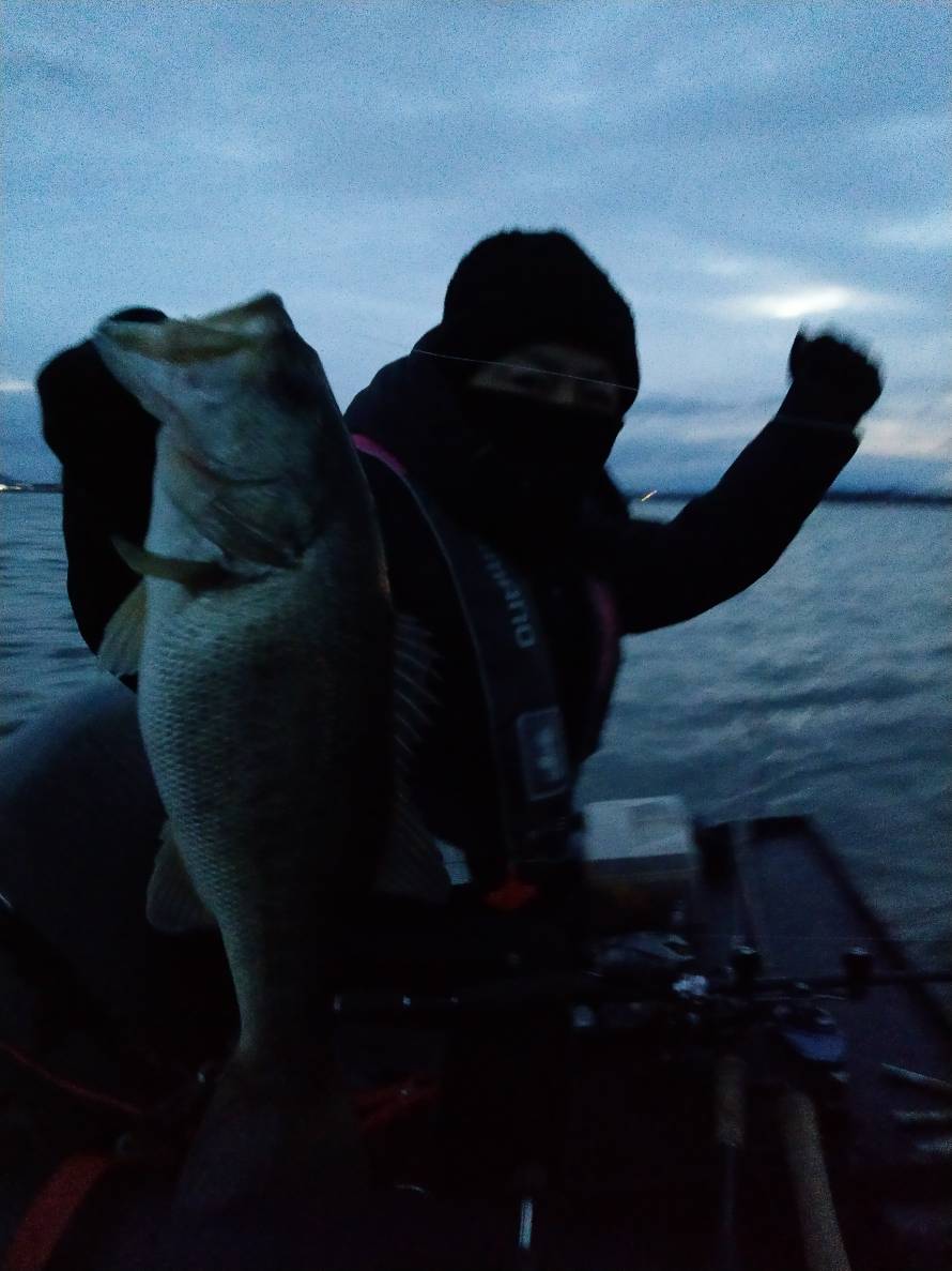 琵琶湖メガミキで冬にバイトを増やす釣り方の具体的まとめ